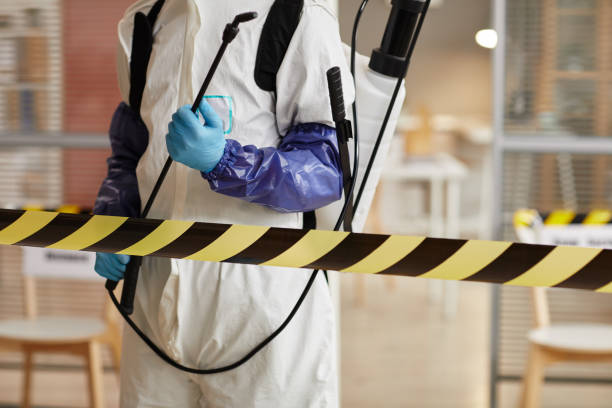 Professional Sewage Cleanup technician working in Sebring, FL