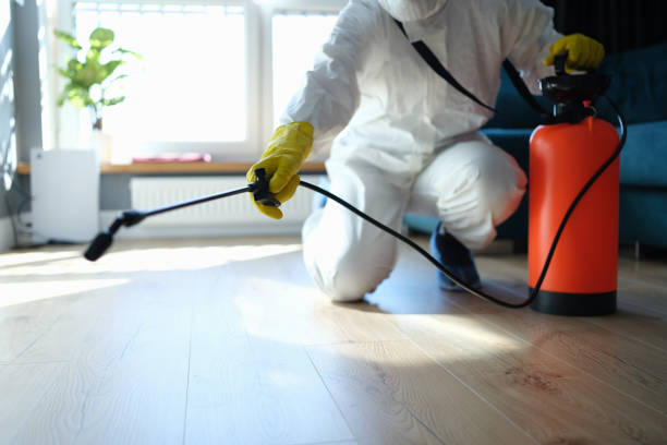 Reliable Sewage Cleanup contractor in Sebring, FL by Trauma Clean Pros